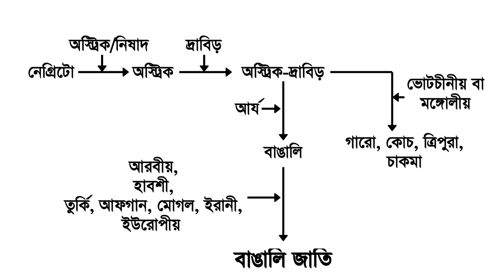 বাঙালি জাতির উদ্ভব